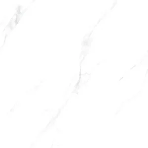 EP89005R Polished