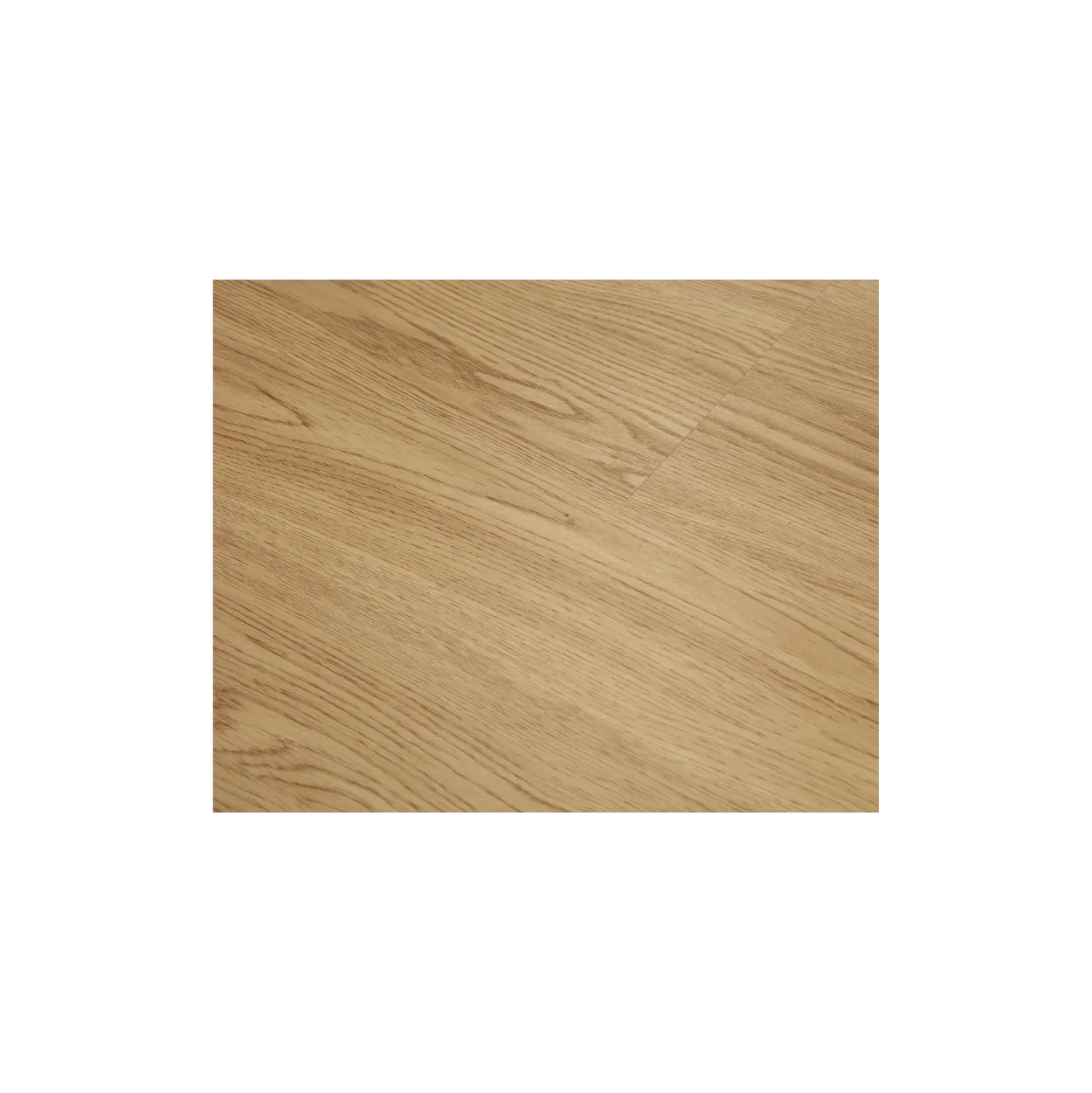 SPC_Tenet Golden Oak (AV3809) - Image 4
