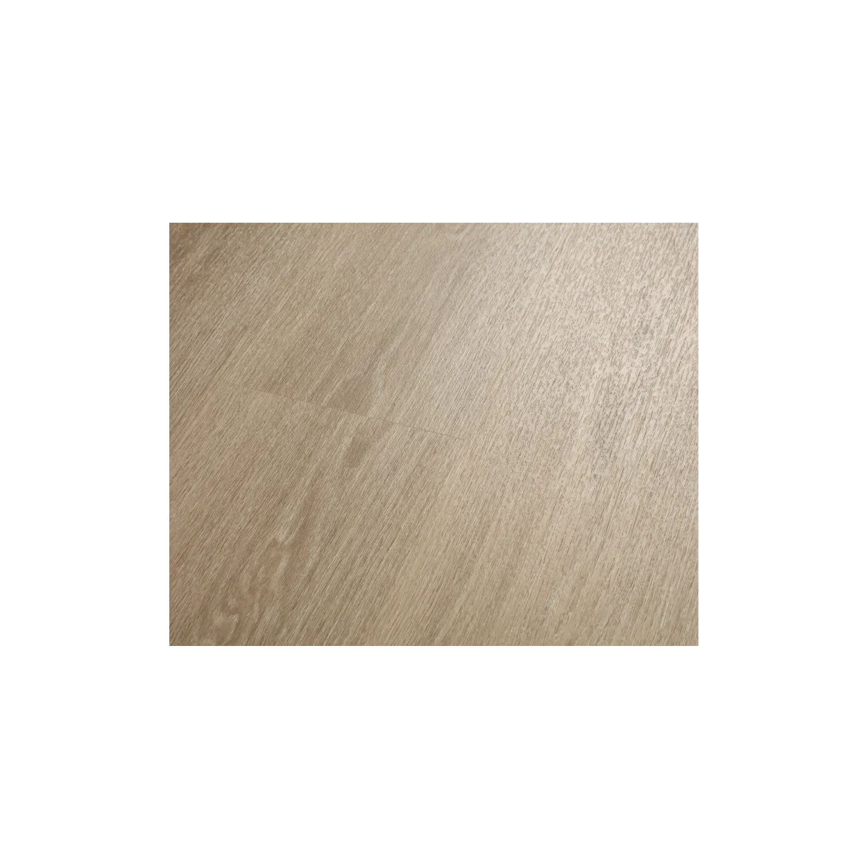 SPC_Tenet Brown (223-2) - Image 6