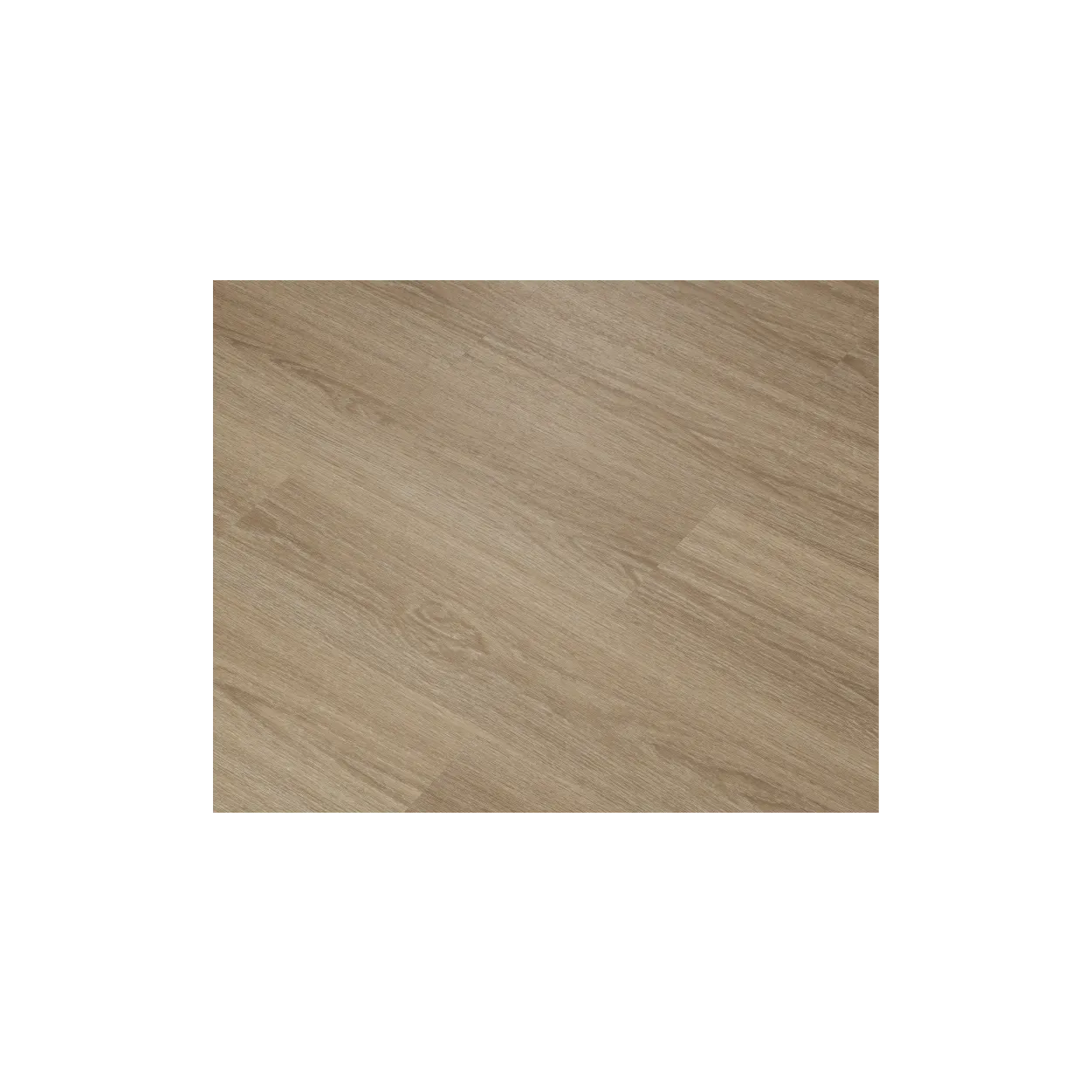 SPC_Tenet Brown (223-2) - Image 3