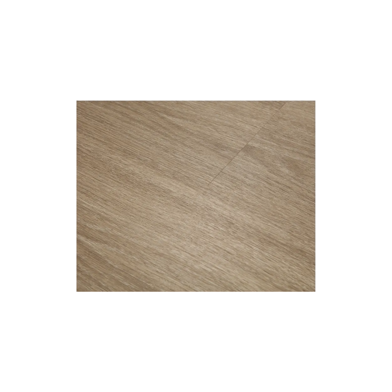 SPC_Tenet Brown (223-2) - Image 2