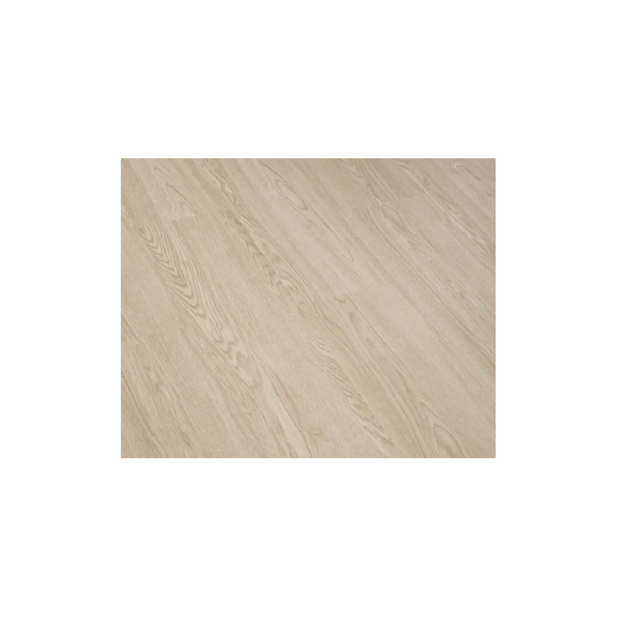 SPC_Tenet Cream (1002-113C) - Image 2