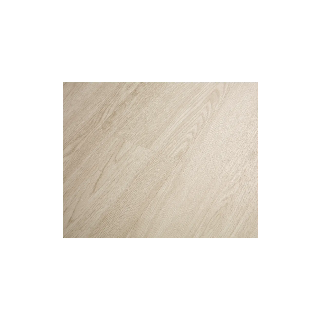 SPC_Tenet Cream (1002-113C) - Image 5