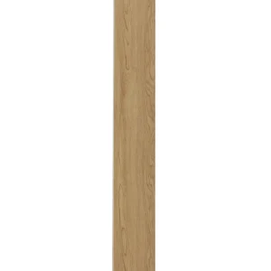 SPC_Tenet Golden Oak (AV3809)