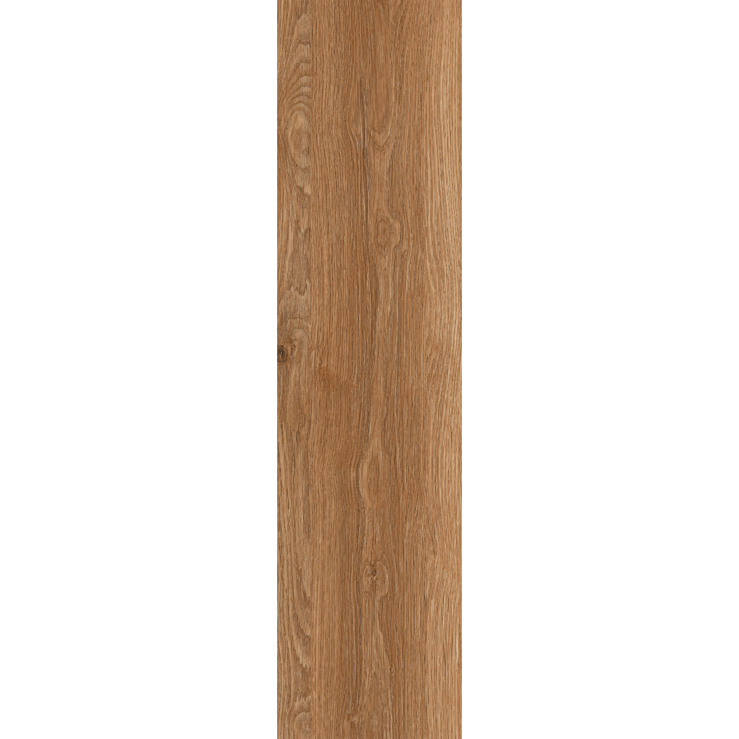 Ilan Beech (Y156004R) - Image 2