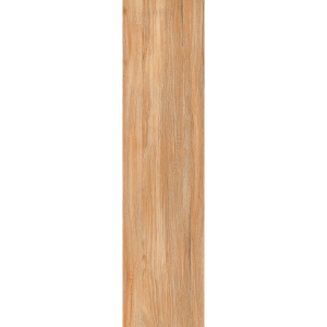 Alternative view of Ilan Ash (Y156001R)