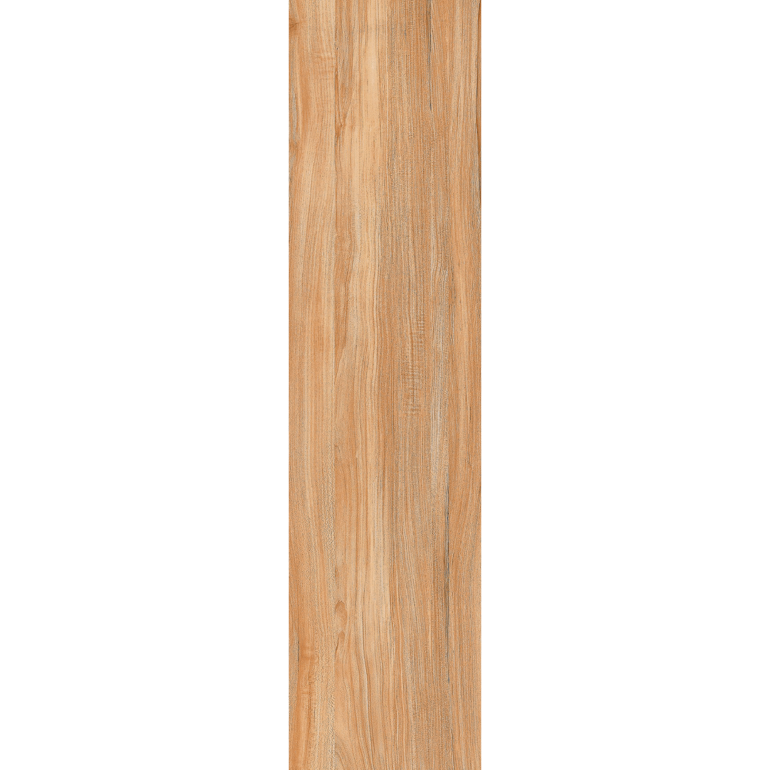Ilan Ash (Y156001R) - Image 2
