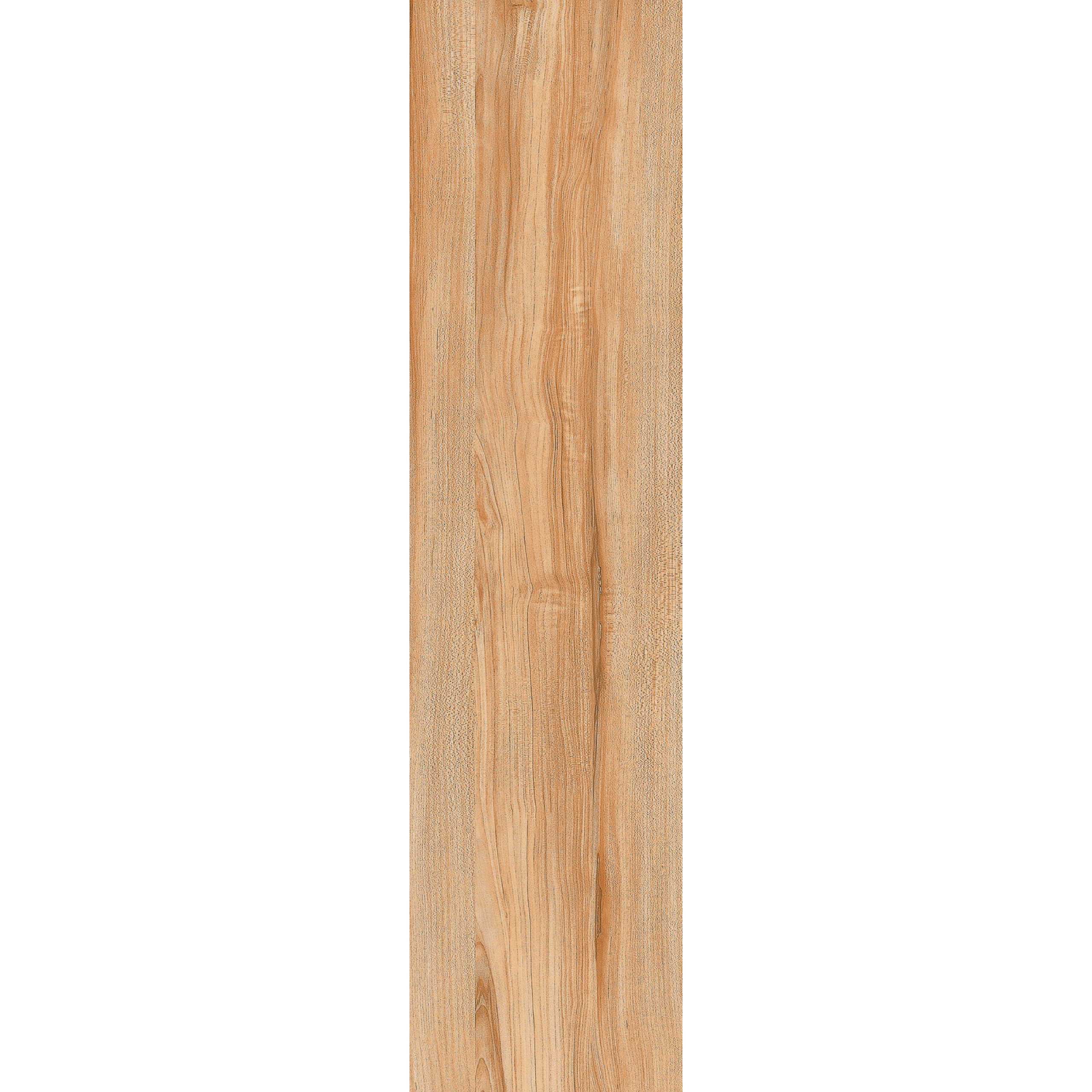 Ilan Ash (Y156001R) - Image 3
