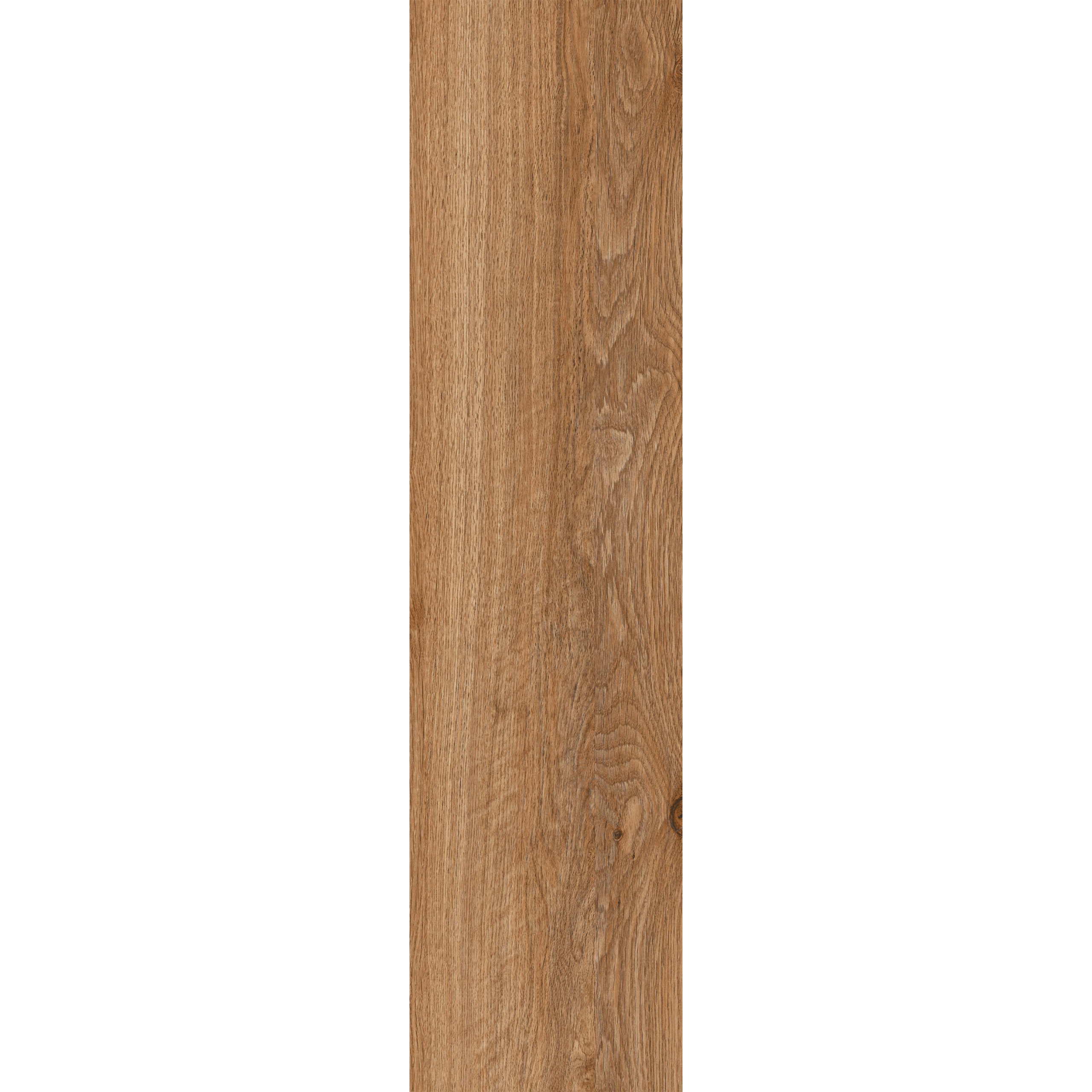 Ilan Beech (Y156004R) - Image 3