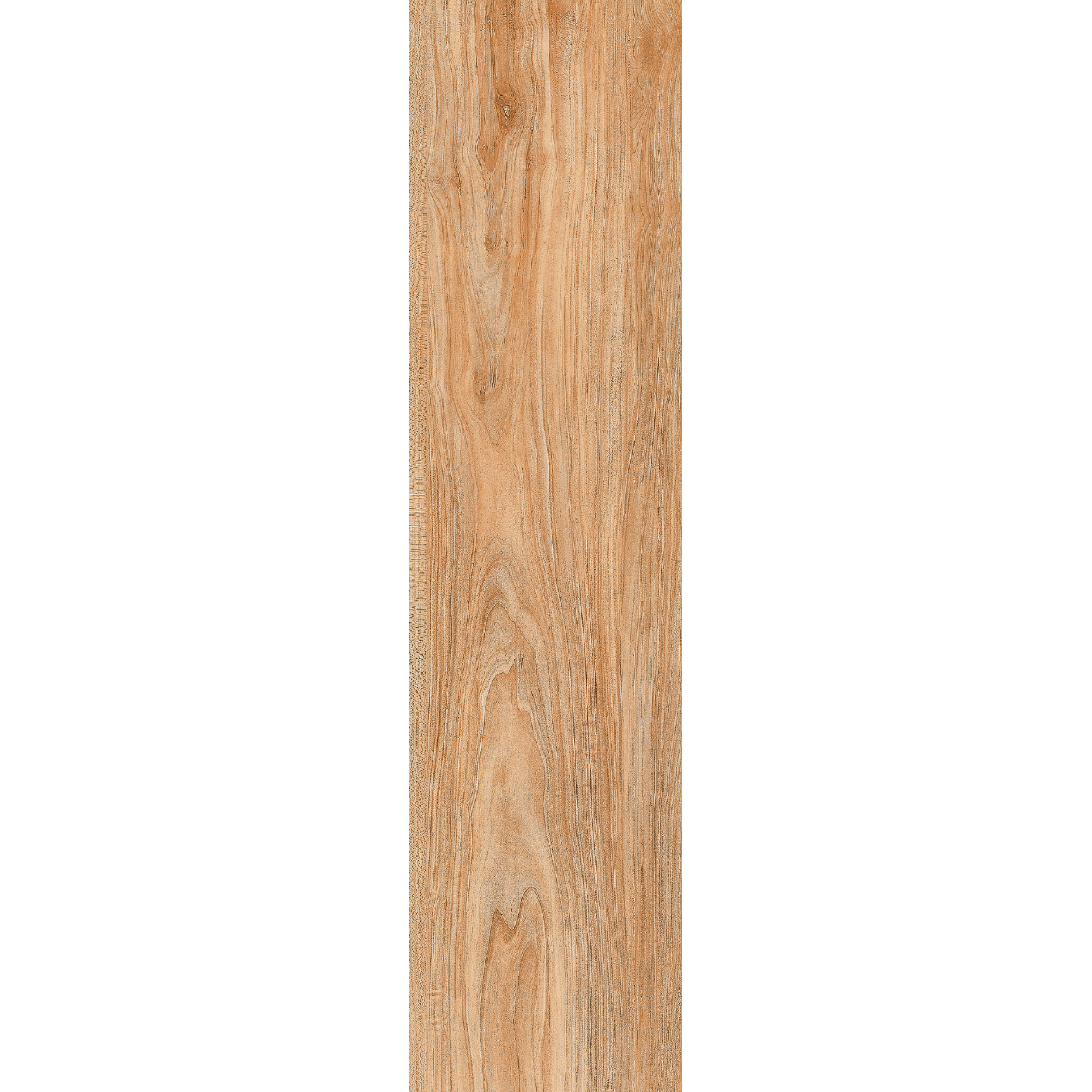Ilan Ash (Y156001R) - Image 4