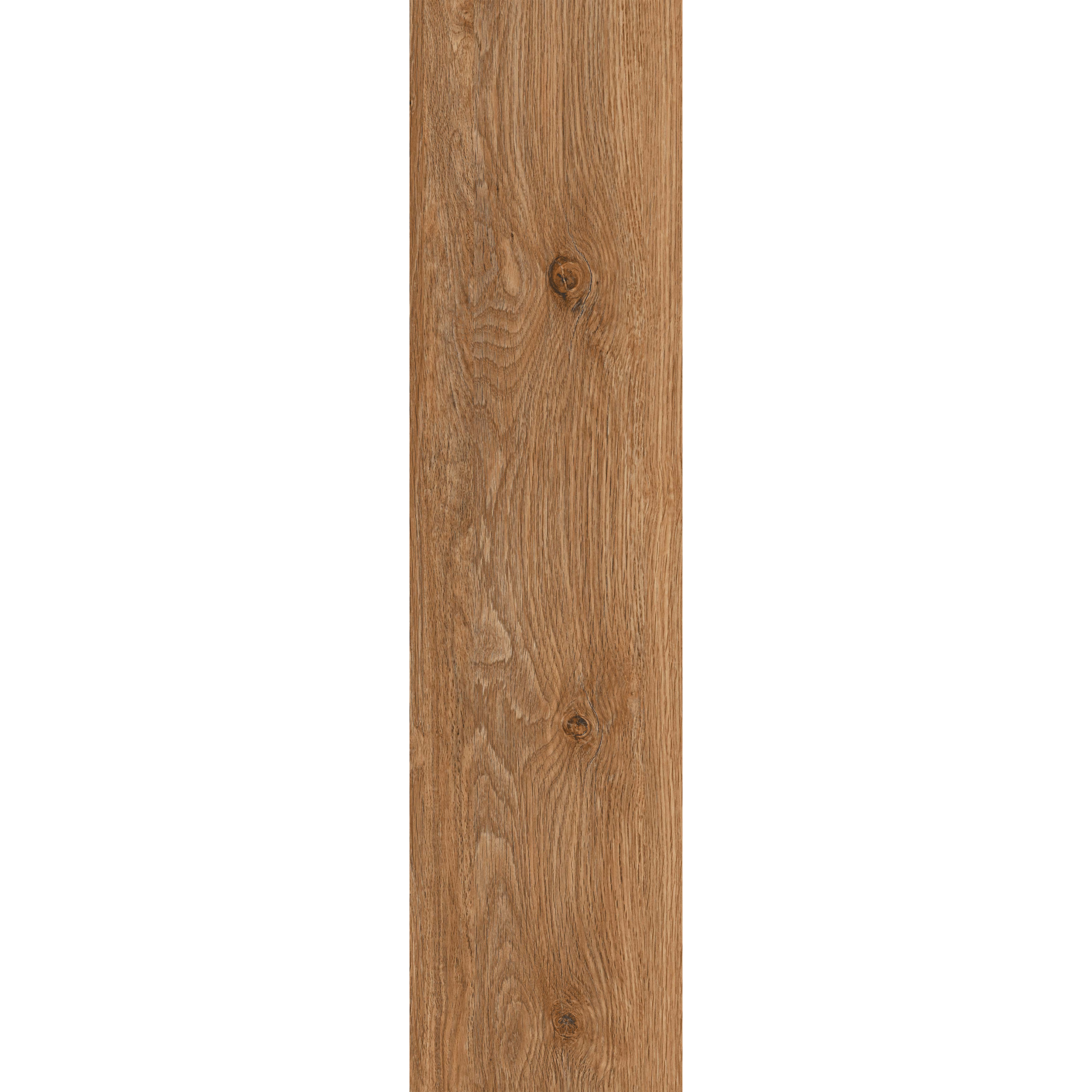 Ilan Beech (Y156004R) - Image 4