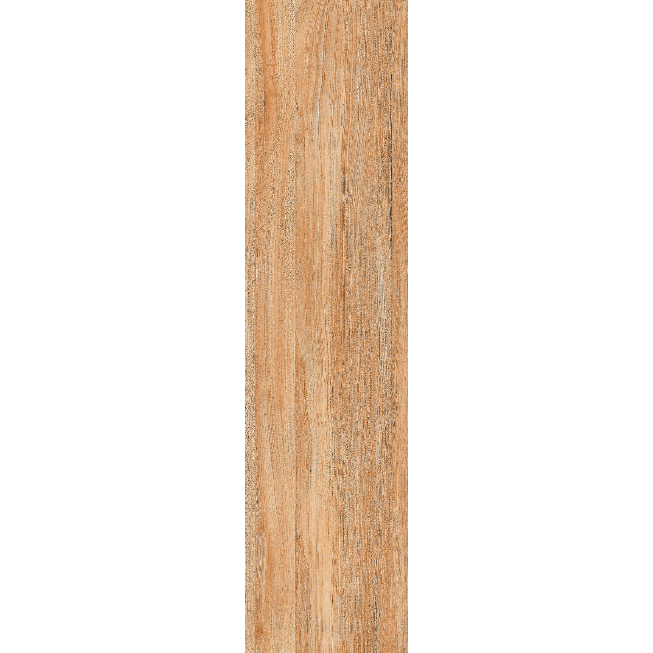 Ilan Ash (Y156001R) - Image 6