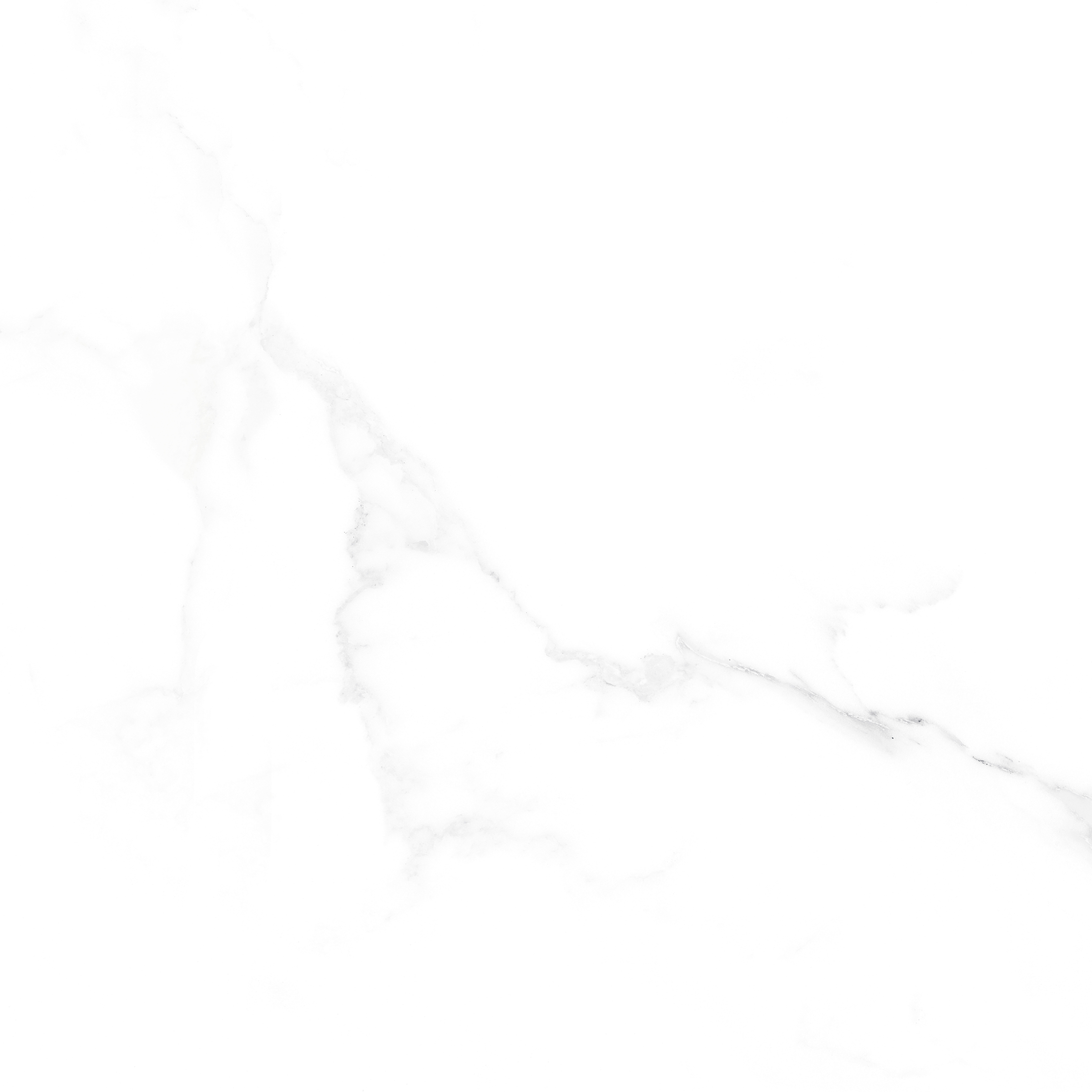 EN89005R Polished - Image 2