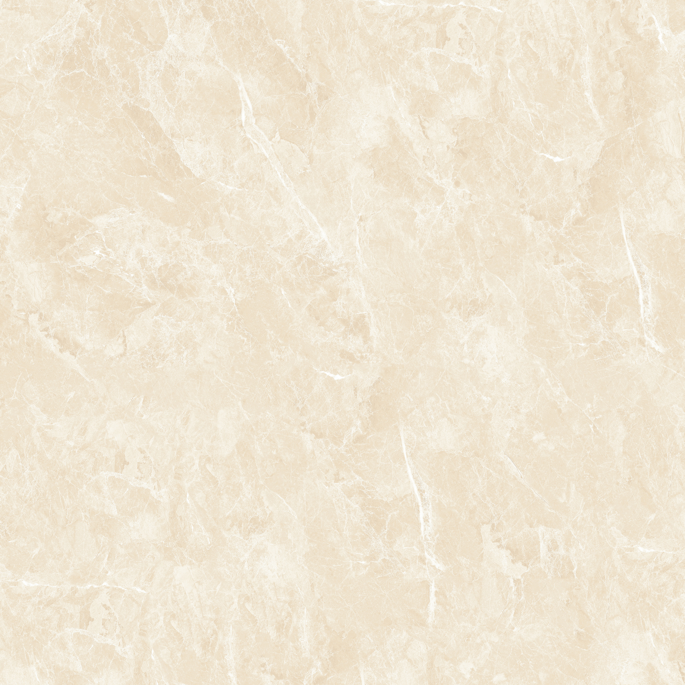 N88069R Polished - Image 3
