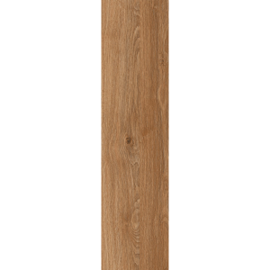 Ilan Beech (Y156004R)
