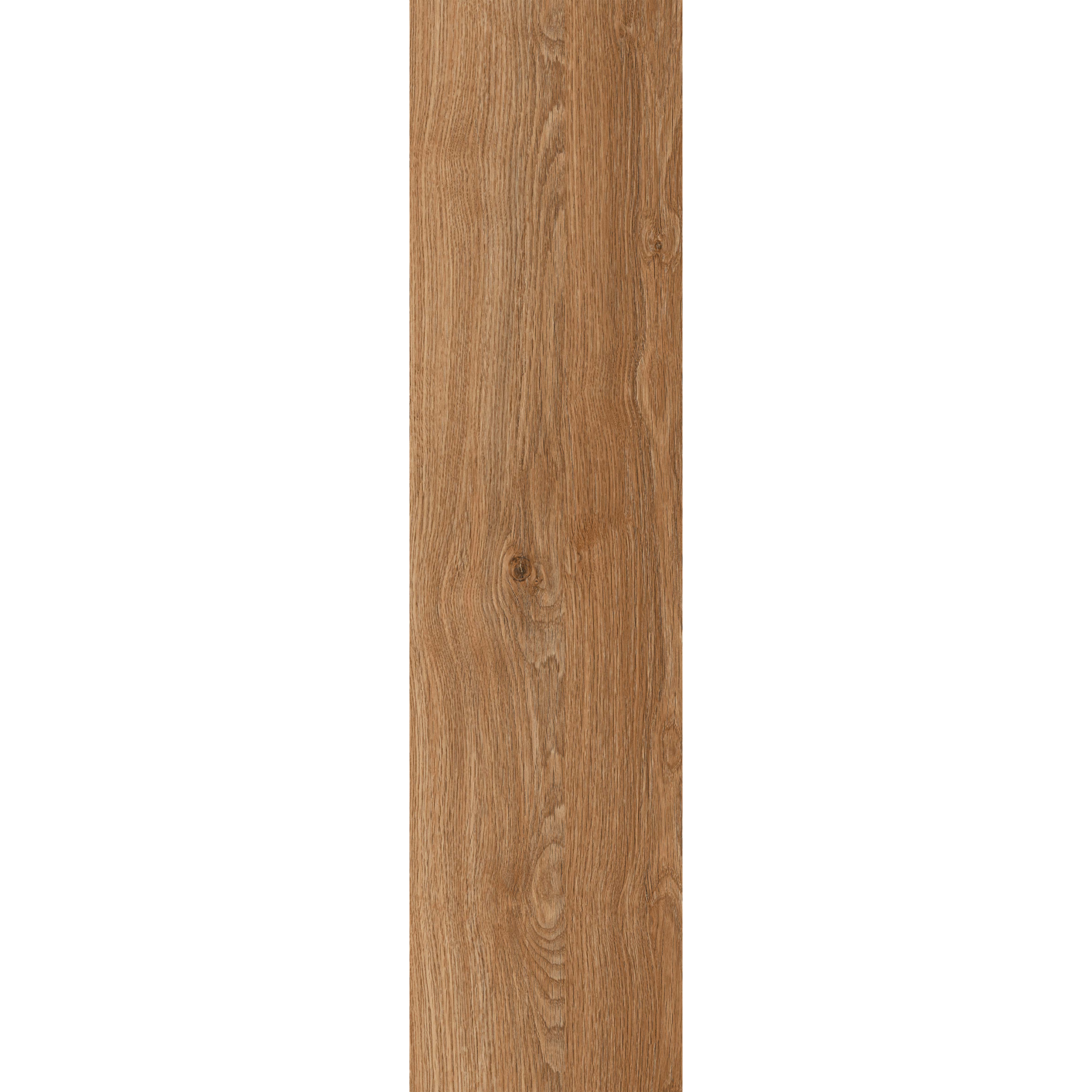 Ilan Beech (Y156004R)