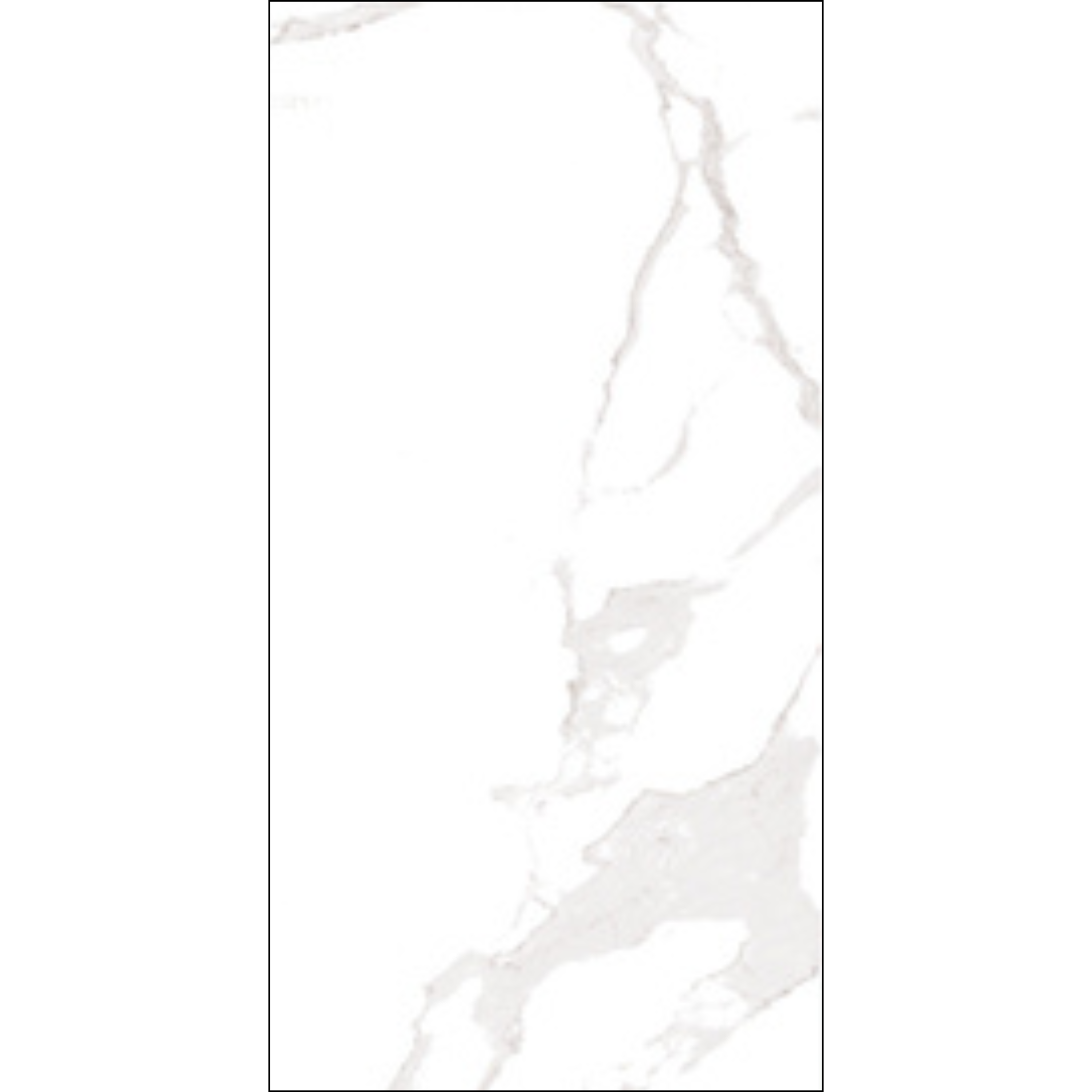 Gros Motif Gris (V2021)