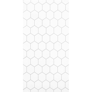 Anila White