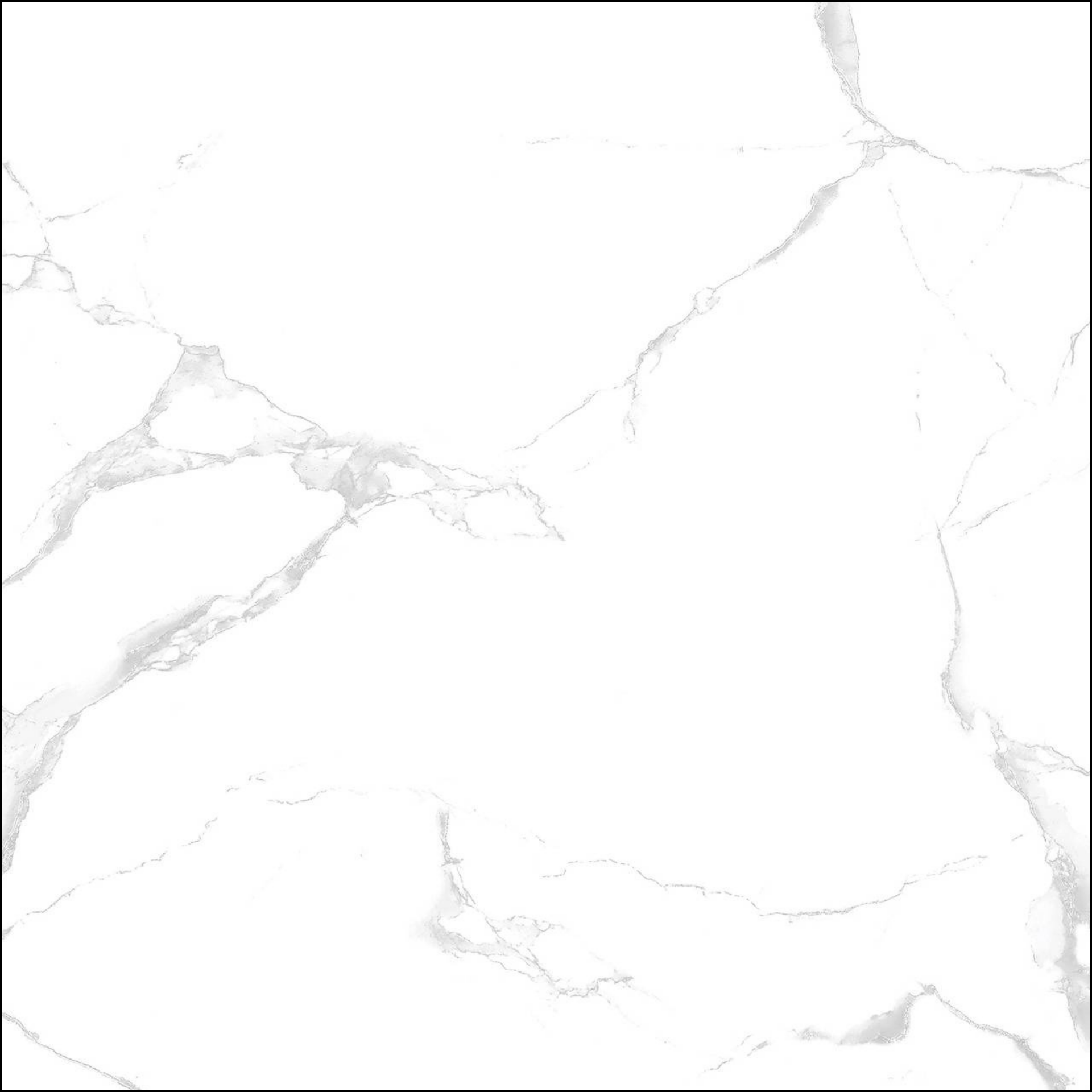 Silver White (VS0001)