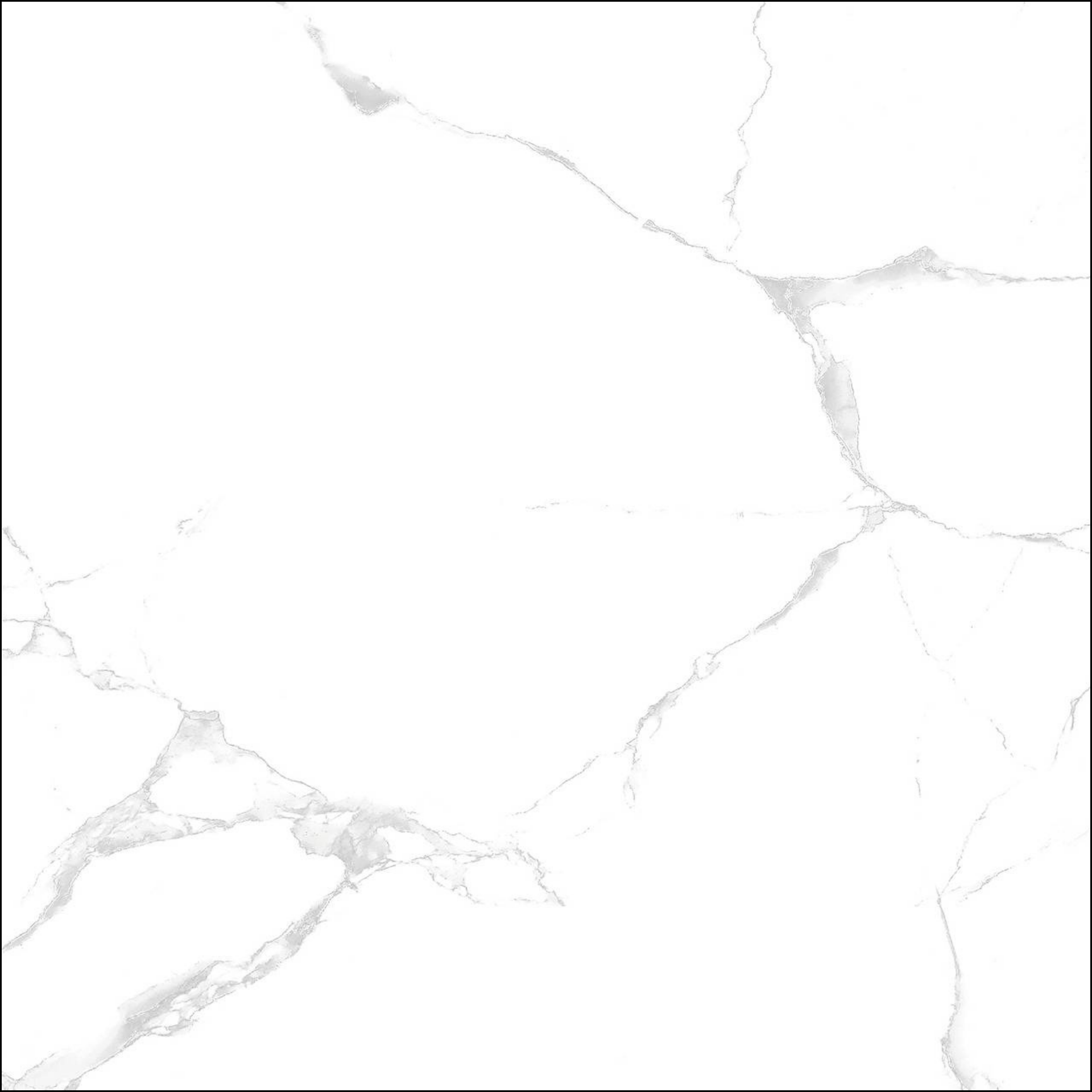 Silver White (VS0001) - Image 5