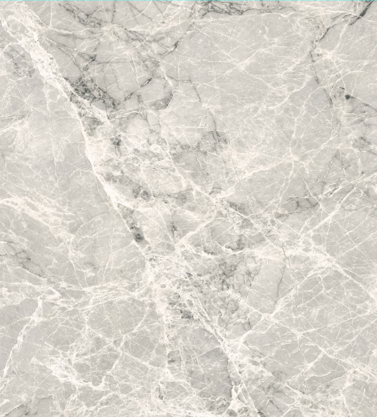 Conte (MP6622G)