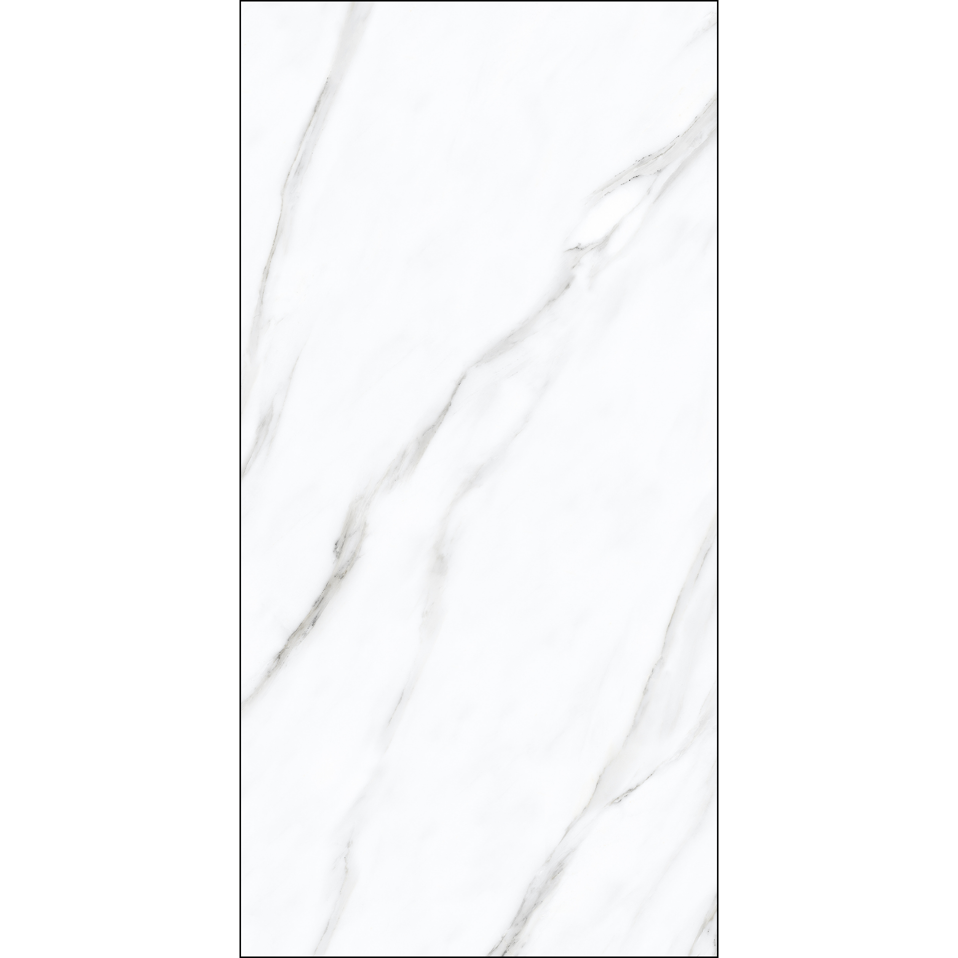 Cruise White Rustic (WCSS612035) (SP)