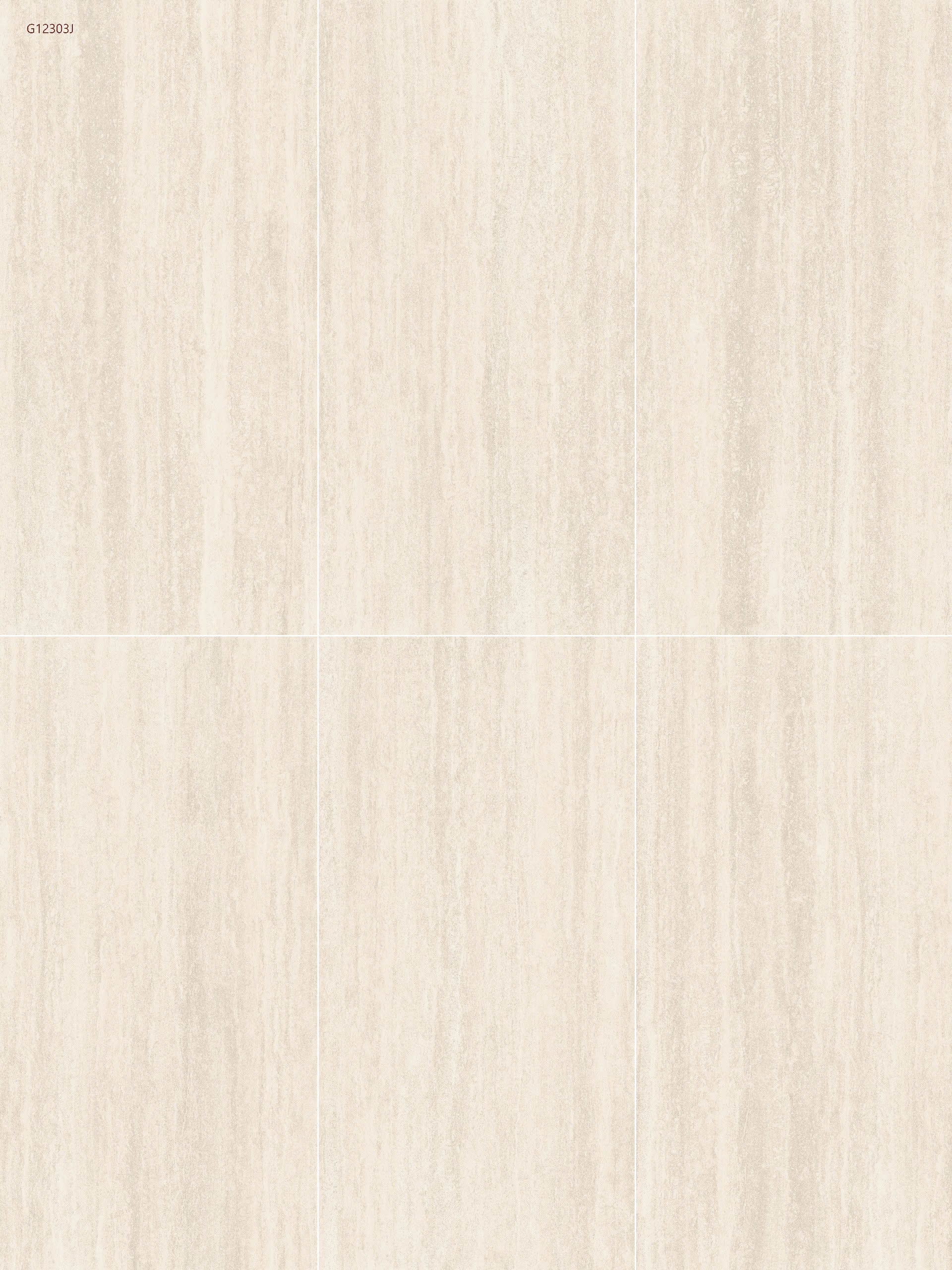 Travertino Beige Micro-Structured (G12303J) - Image 7