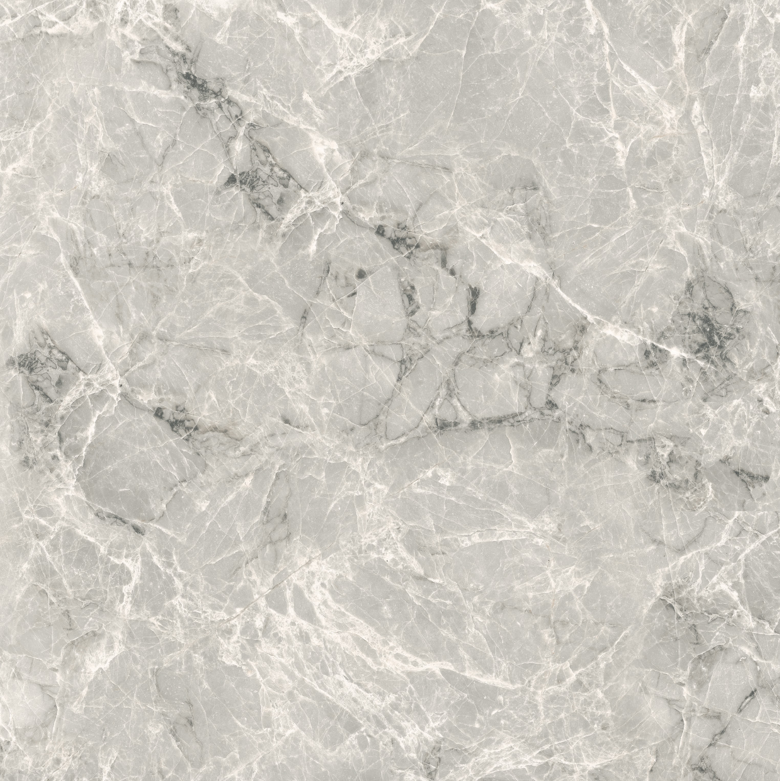 Conte (MP6622G) - Image 2