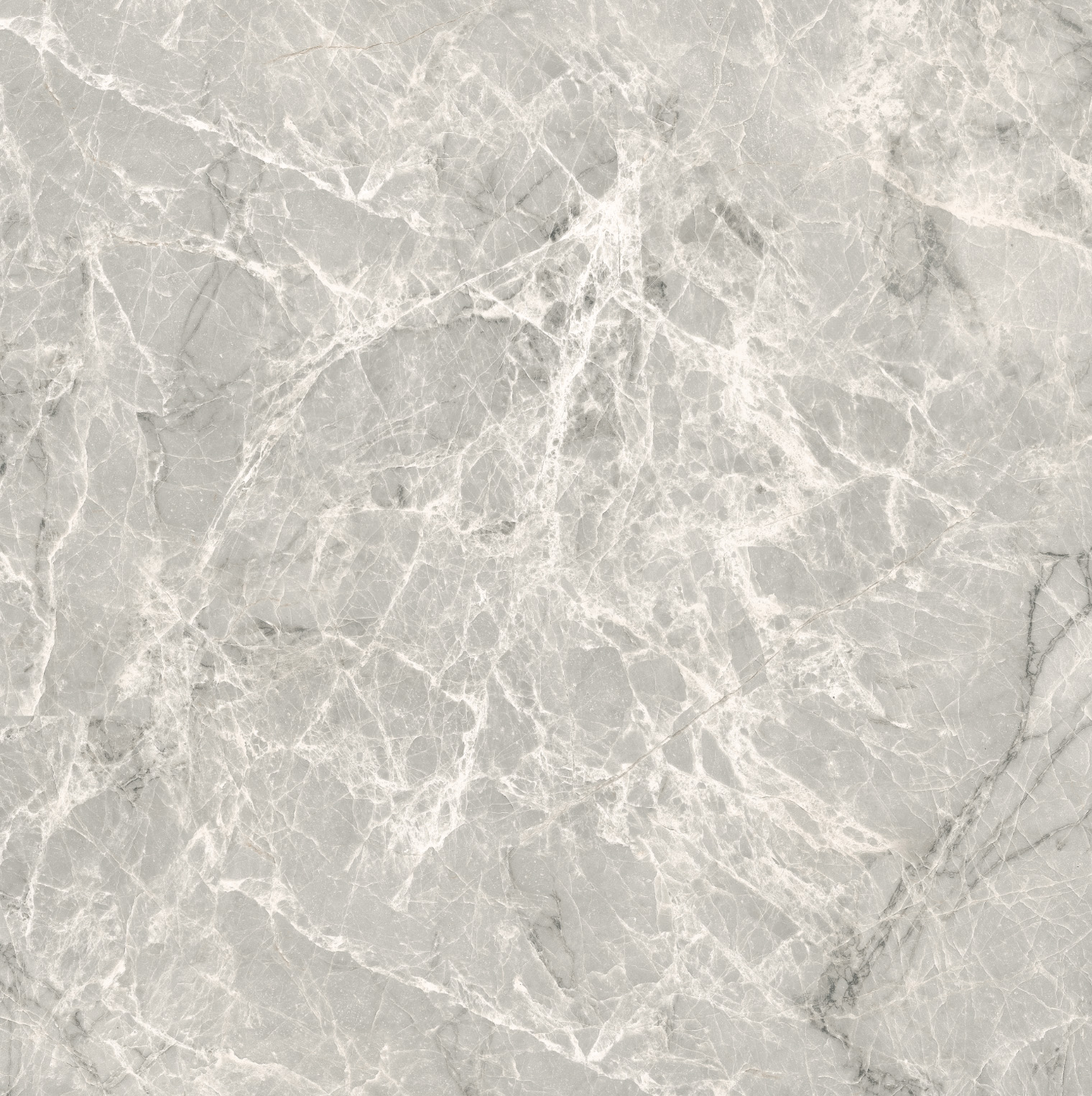 Conte (MP6622G) - Image 3