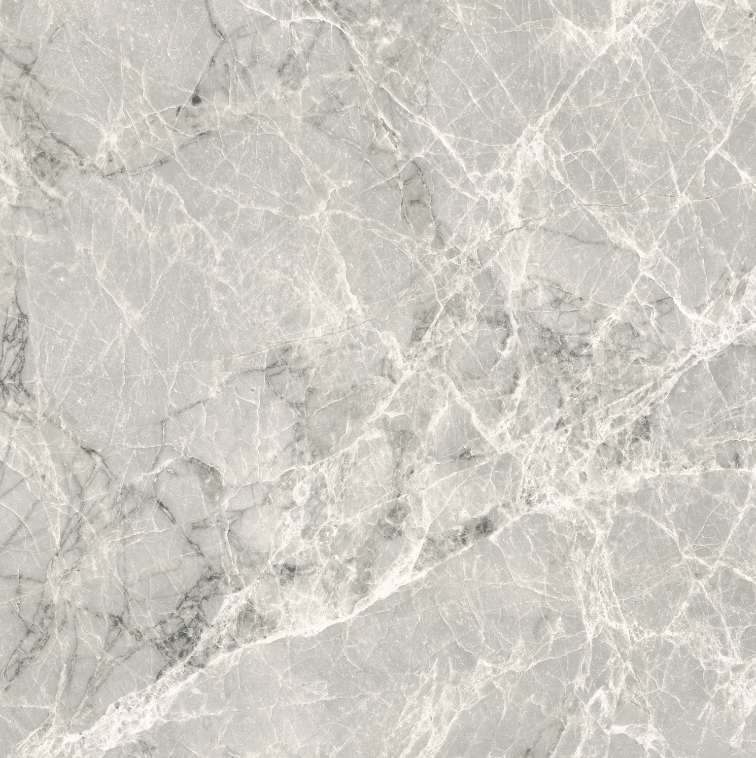 Conte (MP6622G) - Image 4