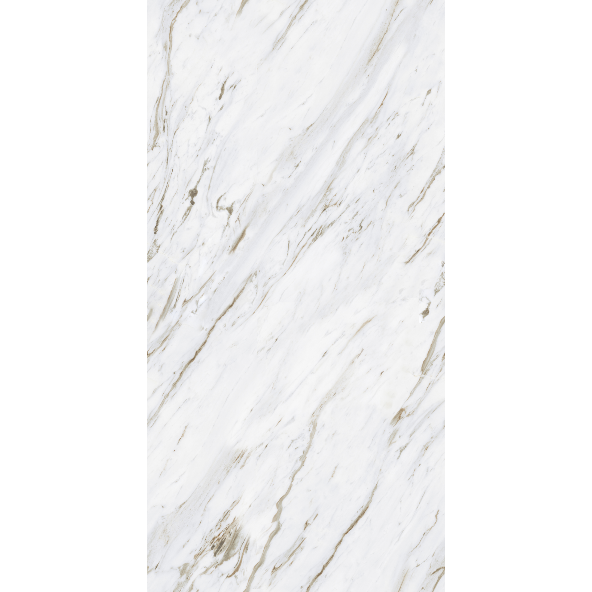 White Sunny - Image 2