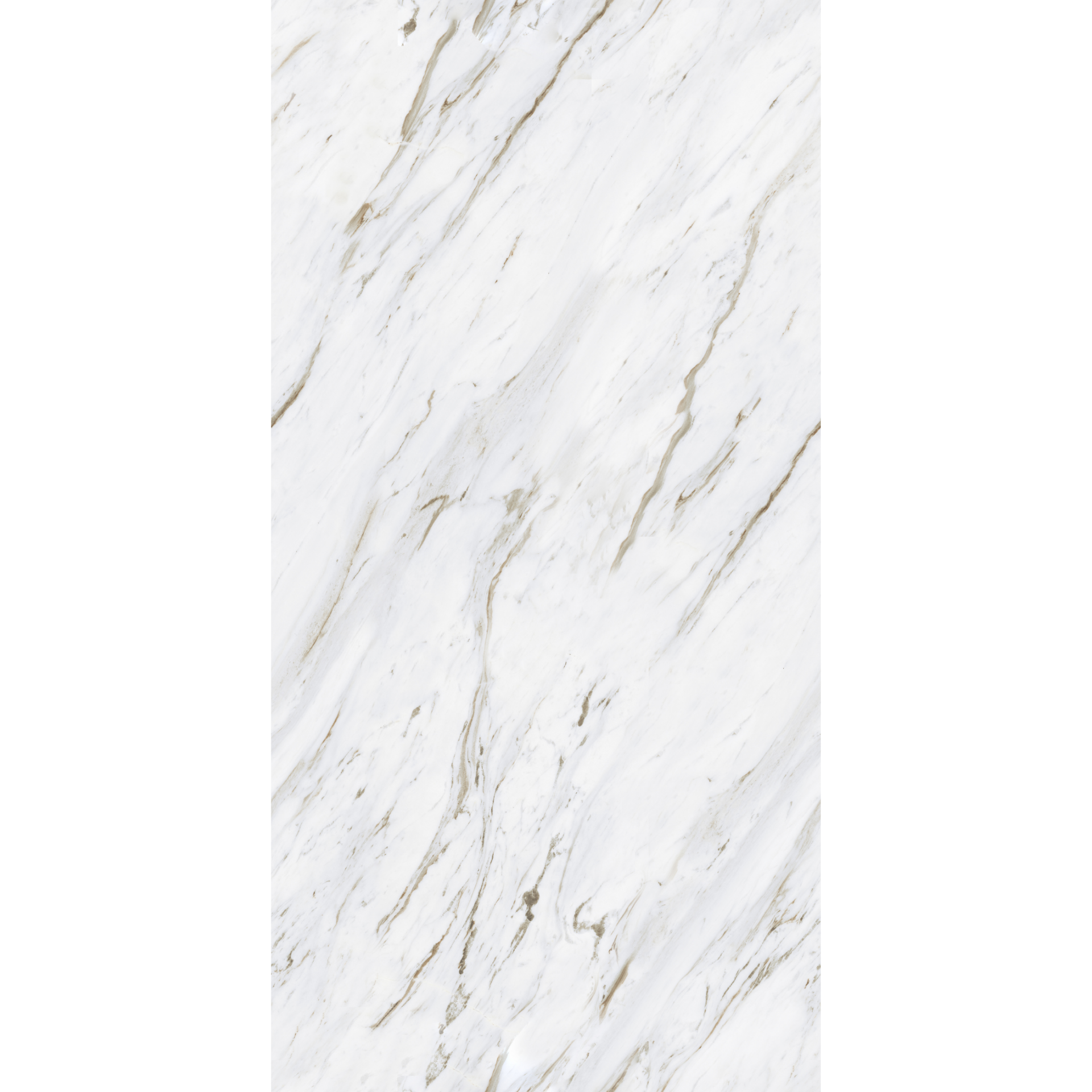 White Sunny - Image 3