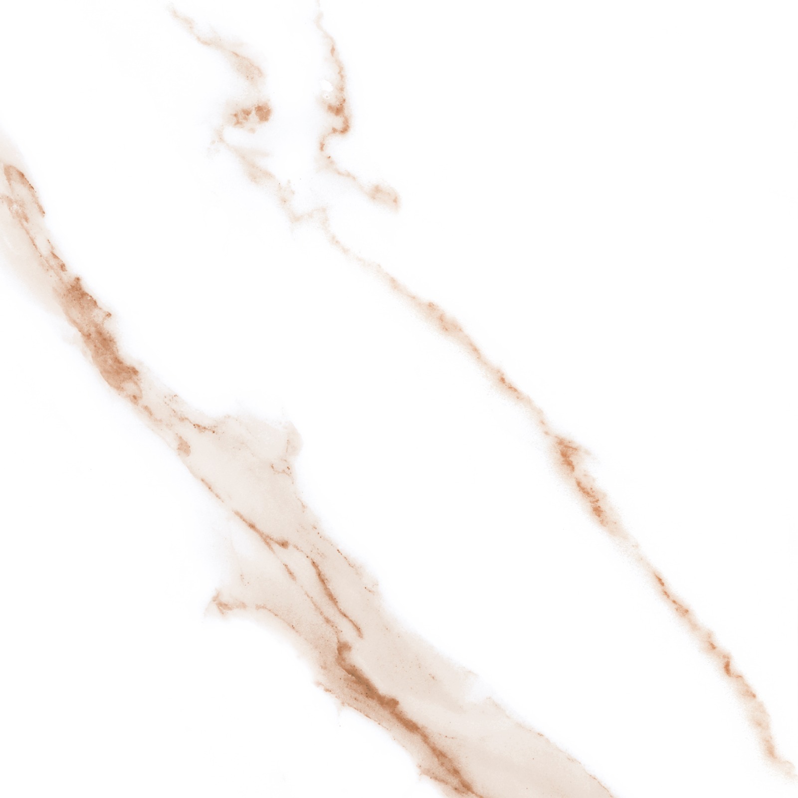 ขาวนวลเนื้อ (KNWDC006) - Image 2