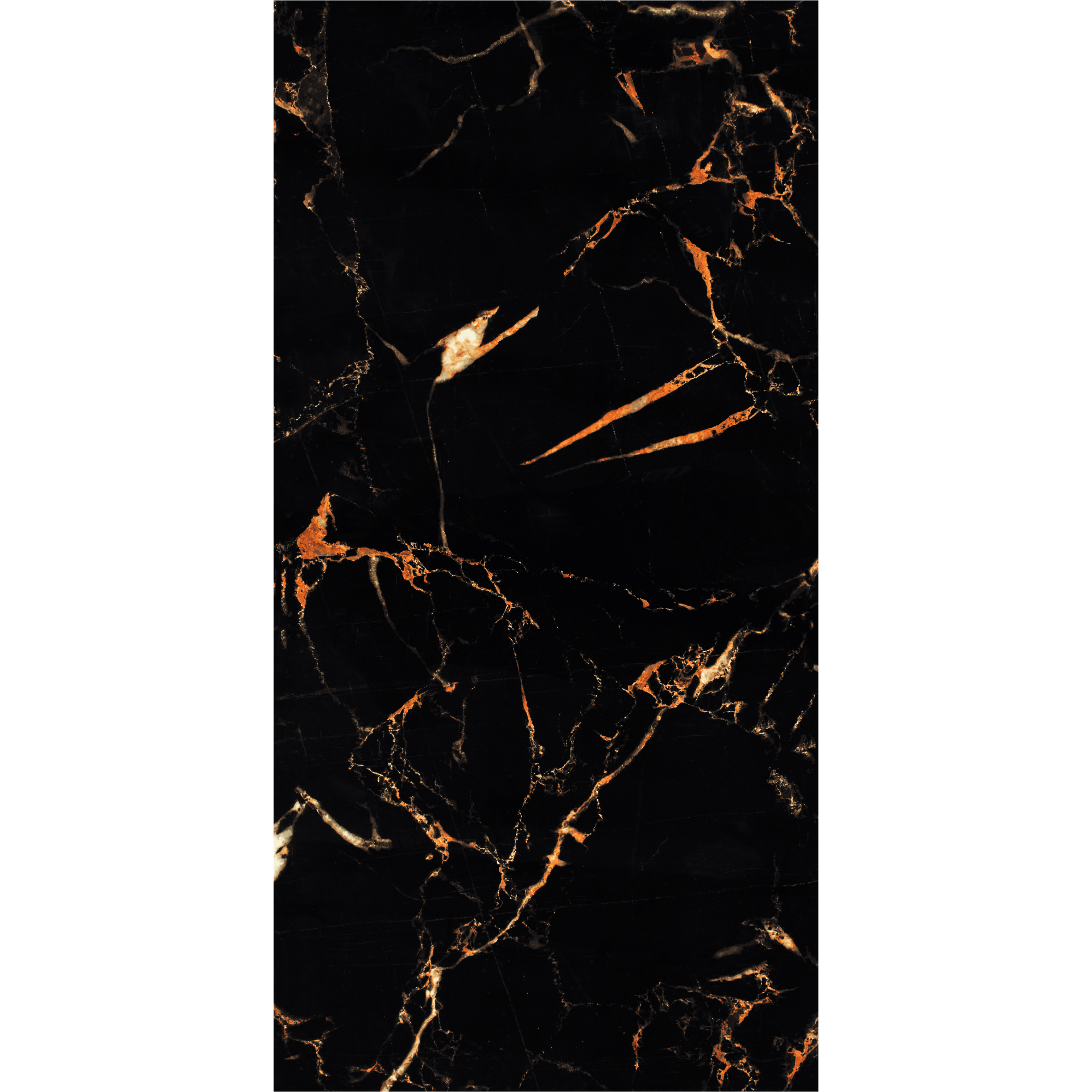 ทองนิลนวล Glossy (WPSFS612023) - Image 3